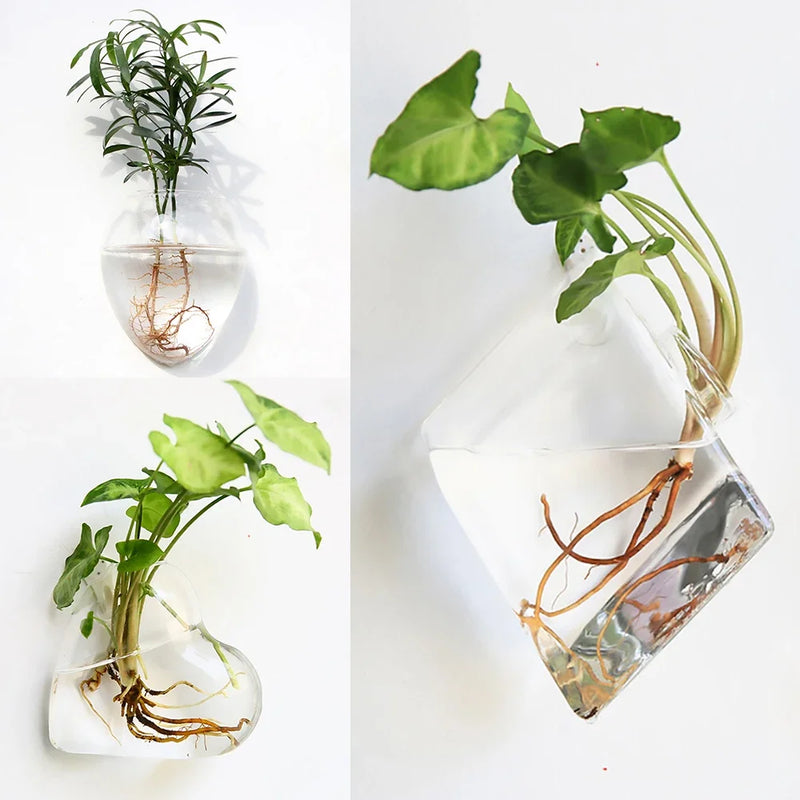 Vaso de Plantas para Parede