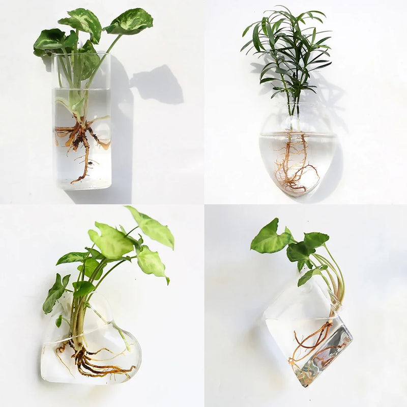 Vaso de Plantas para Parede